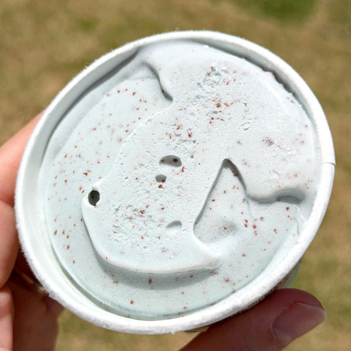 無印良品「素材を生かしたアイス チョコミント」