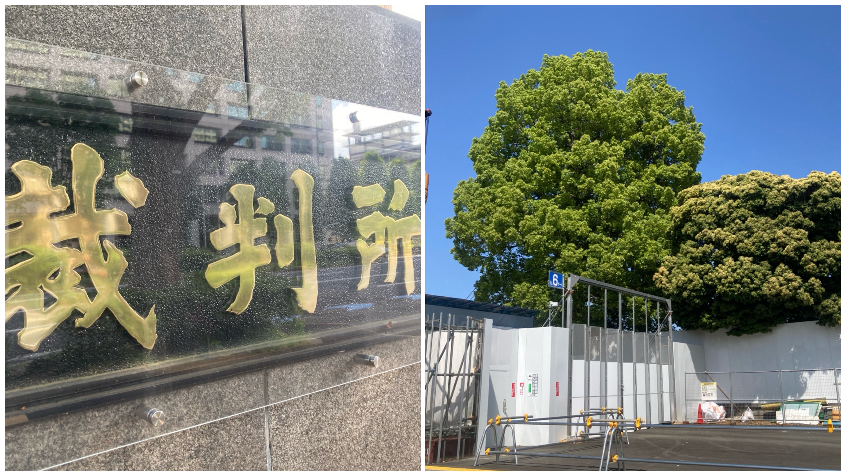 神宮外苑・樹木伐採許可の取り消し認められず。東京地裁が「原告適格がない」と判断（神宮外苑新宿訴訟）