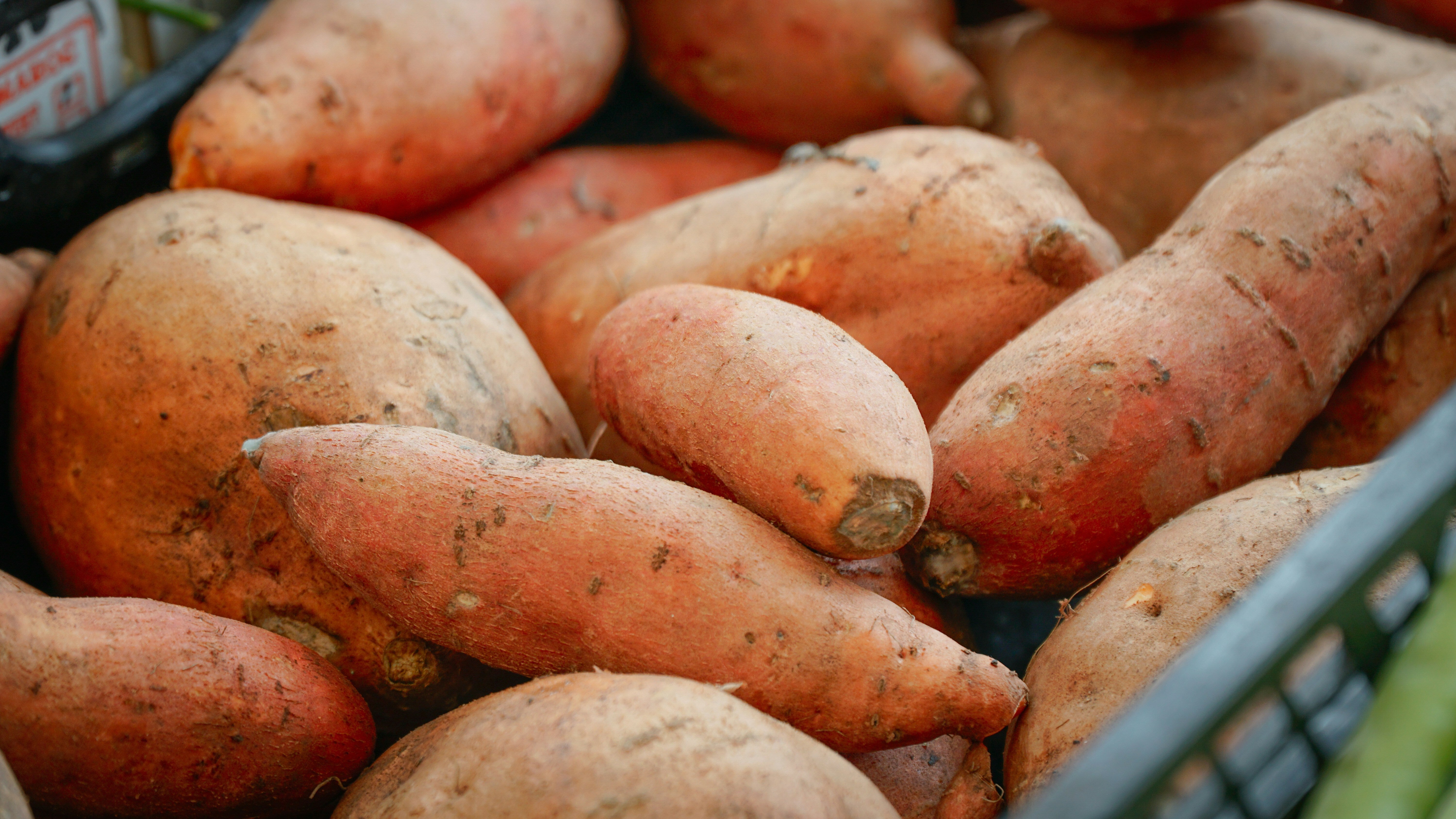 So THAT's The Difference Between Sweet Potatoes And Yams