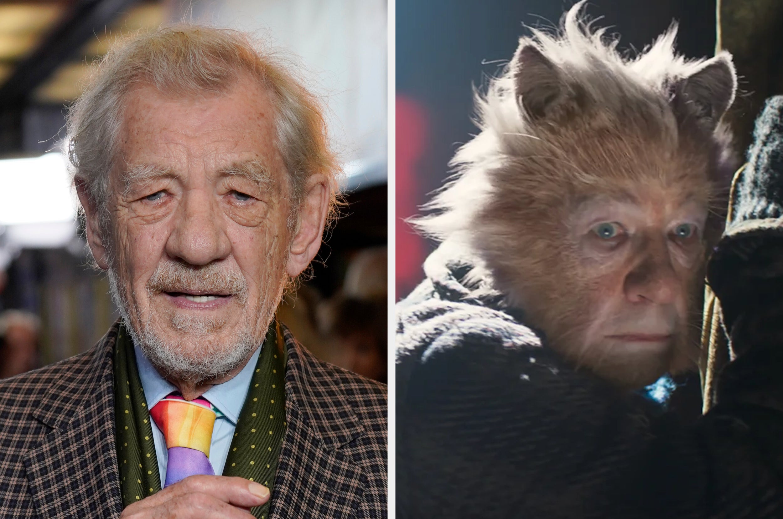 Ian McKellen Has Finally Seen Cats And He Has Some Thoughts