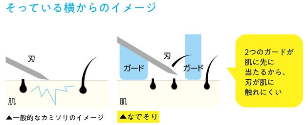 そっている横からのイメージ