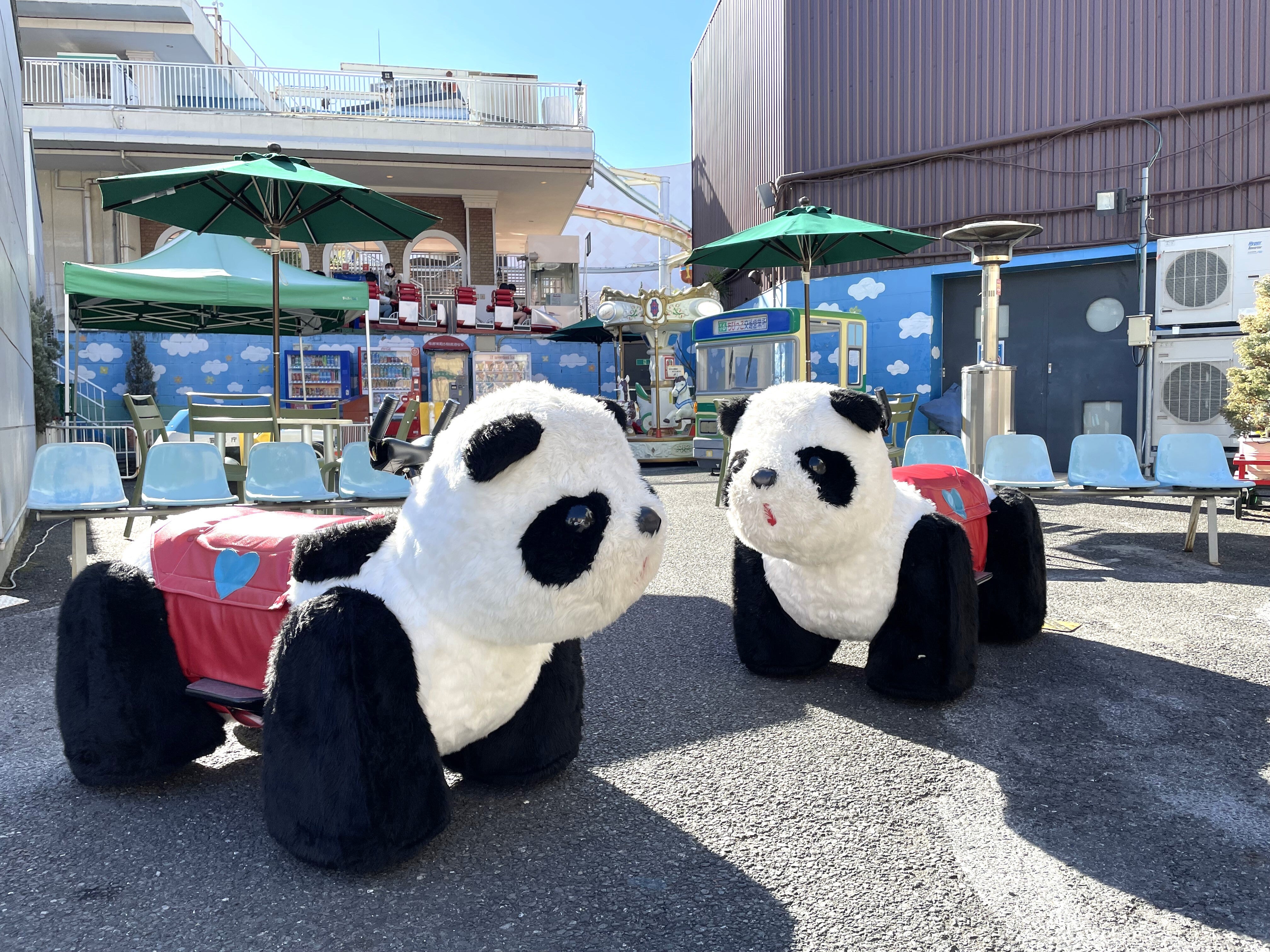 浅草花やしき“無人のパンダカー”がひとりで移動⇨「誰も乗ってなくても動くんだ」「勝手に動いた！？」