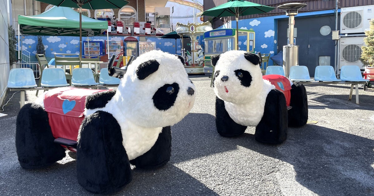 浅草花やしき“無人のパンダカー”がひとりで移動⇨「誰も乗ってなくても動くんだ」「勝手に動いた!?」
