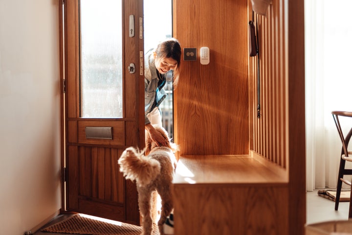 You're not imagining it — some dogs experience "FOMO" or anxiety when they sense their owner is leaving without them.