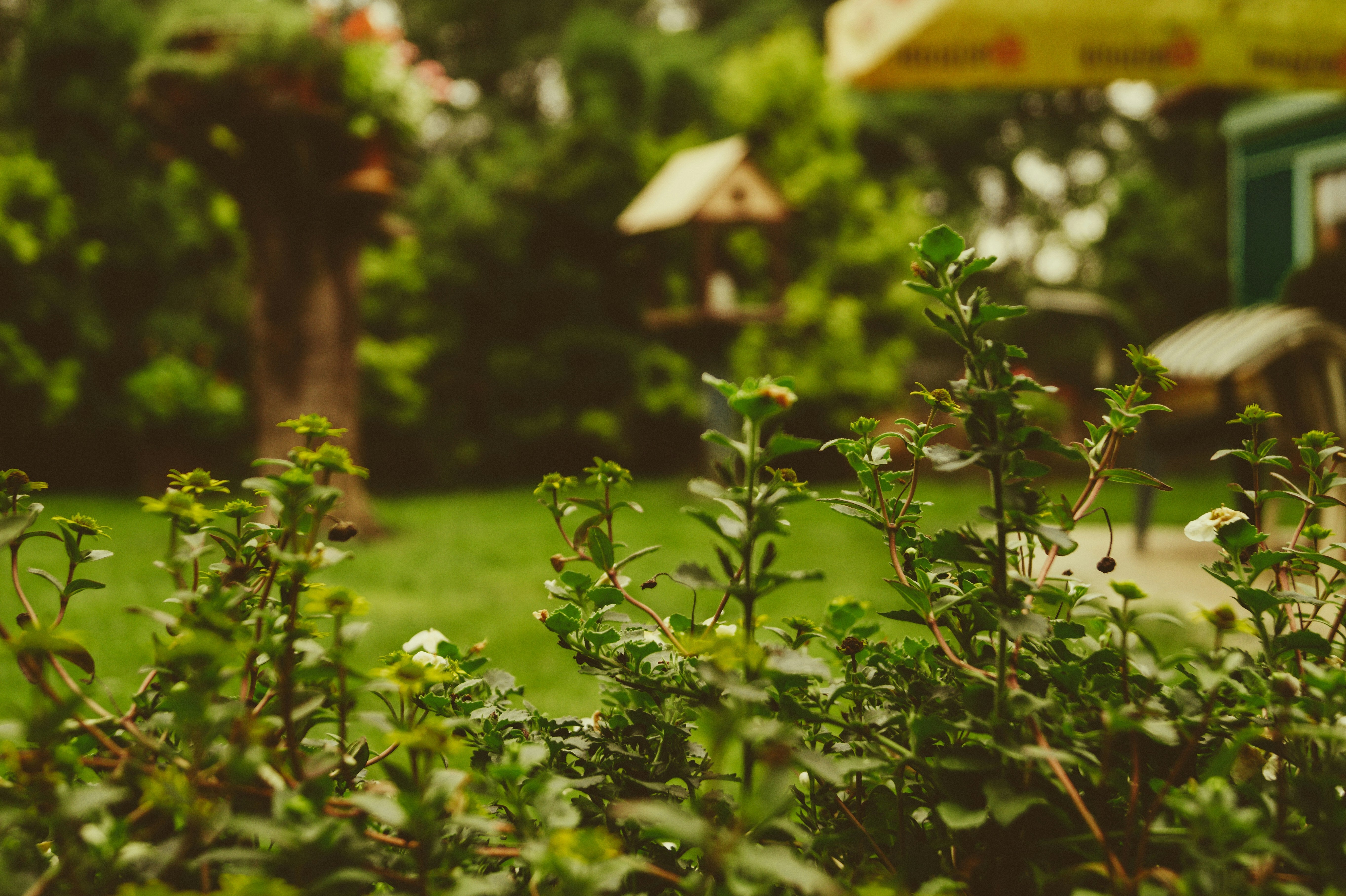 Gardening Expert Reveals Common Household Item Vital For Watering Your Garden