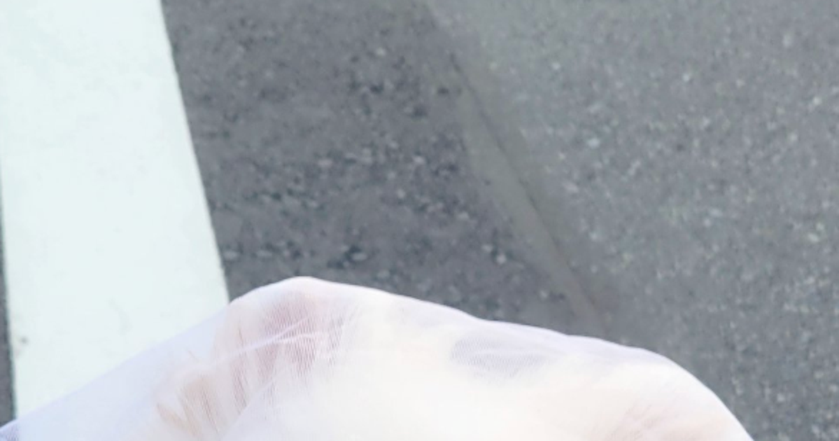 愛犬に“拾い食い防止ネット”を被せたら…⇒無の境地に至ったかのような表情に5.3万「いいね」