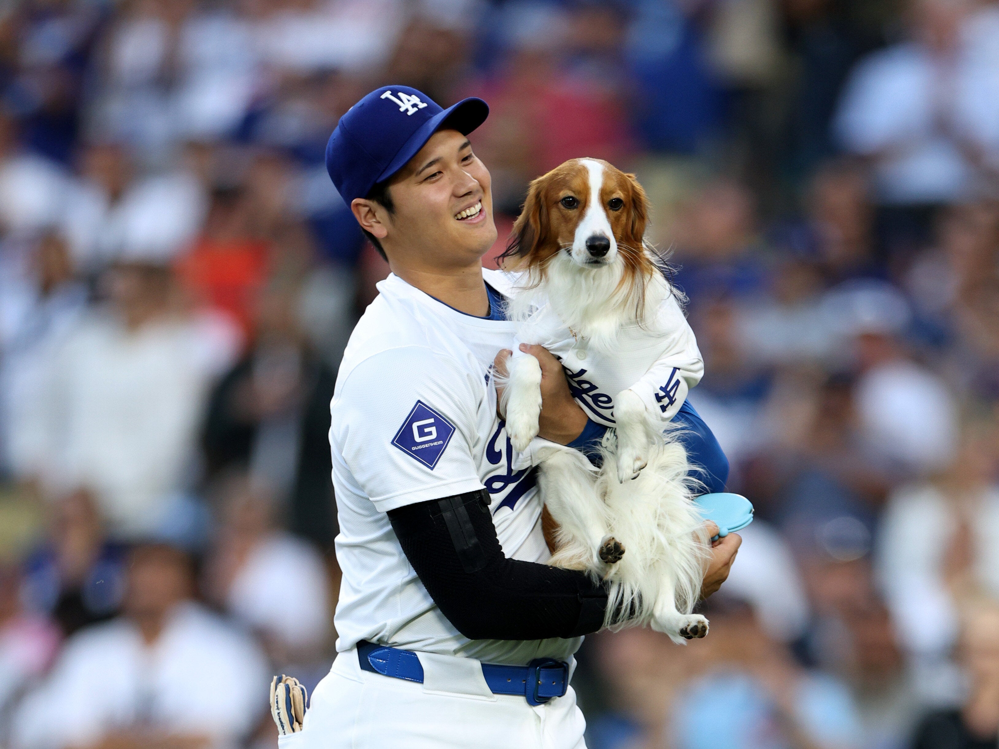 大谷翔平が「3歳になったデコピン」を撮るとこうなる。「写真めちゃくちゃ上手」「物すごいジャンプ力」