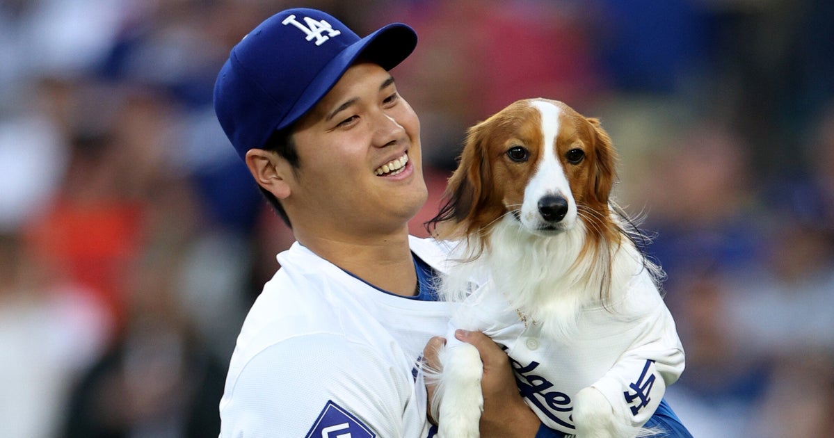 大谷翔平が「3歳になったデコピン」を撮るとこうなる。「写真めちゃくちゃ上手」「物すごいジャンプ力」