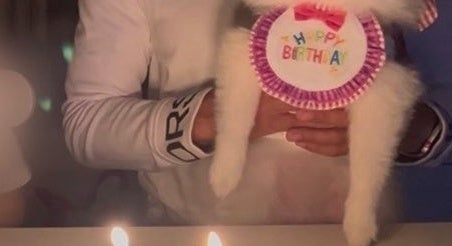 誕生日の愛犬、ケーキを前に“虚無顔”すぎる⇨「もっと喜んでw」「主役なの気づいてない」と爆笑