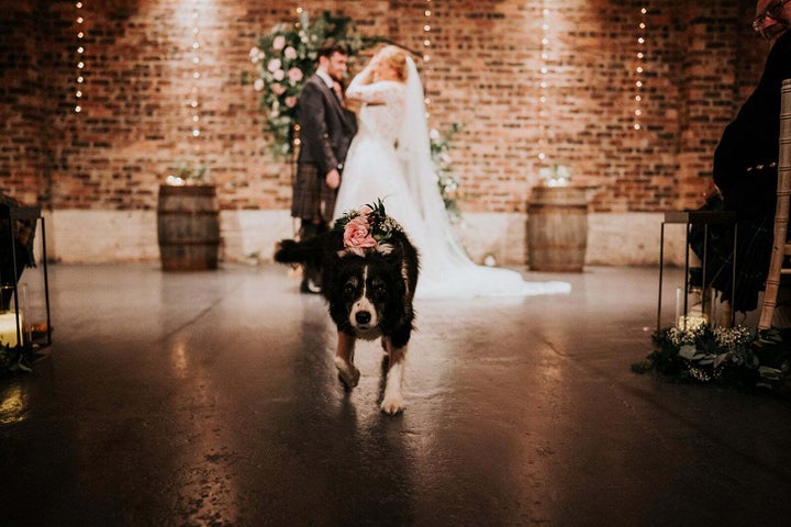 Jess taking center stage as flower girl on the author's wedding day in 2021.