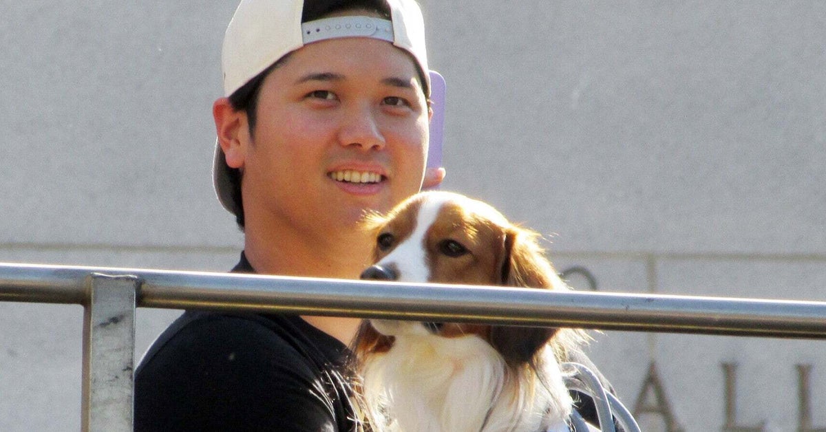 大谷翔平、愛犬デコピン3歳の誕生日を報告→「本当にお利口」「飼い主に似てきましたね」と祝福の声