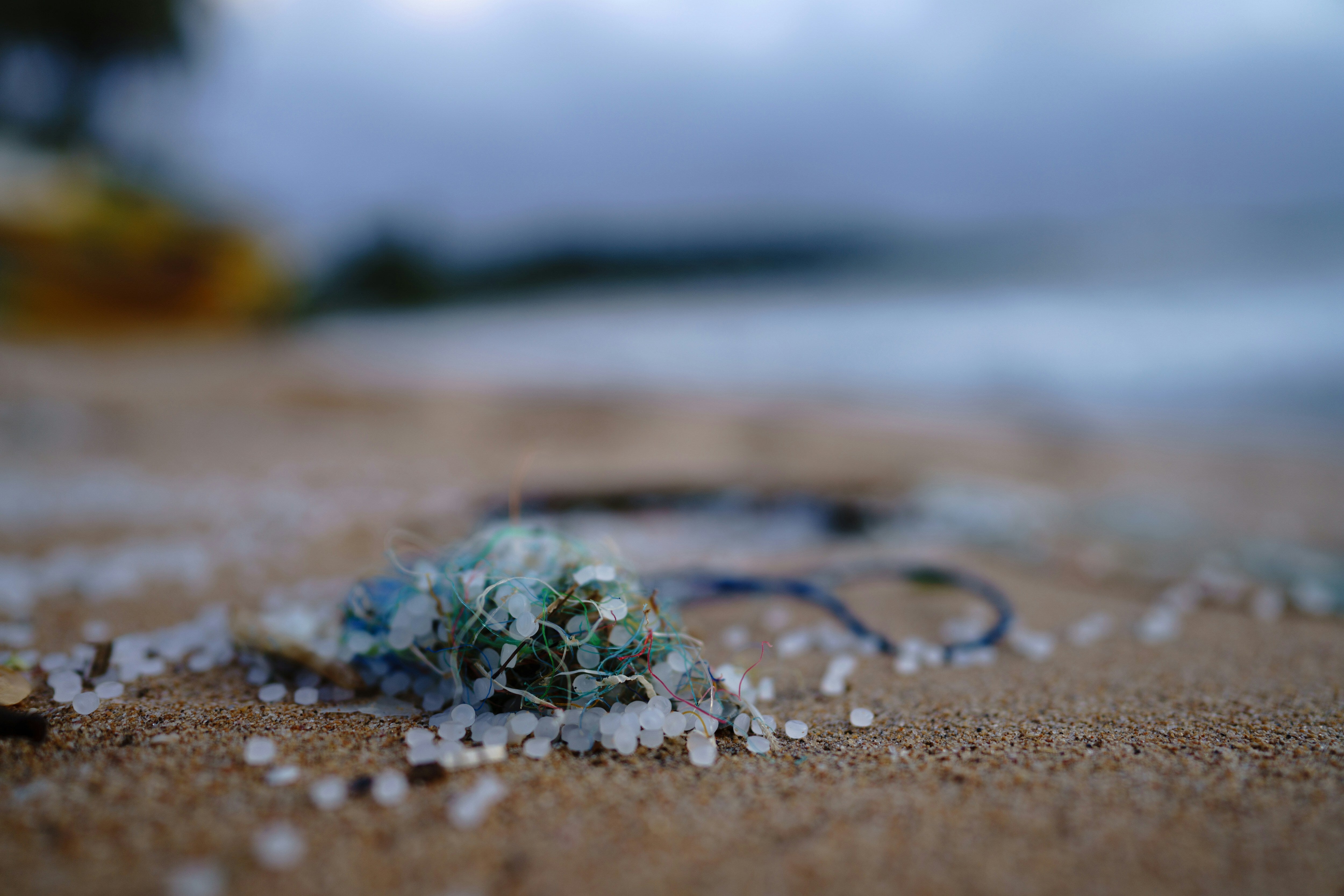 Microplastics Could Be Making Global Warming Worse, Study Says