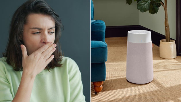 Having clean air can really help.