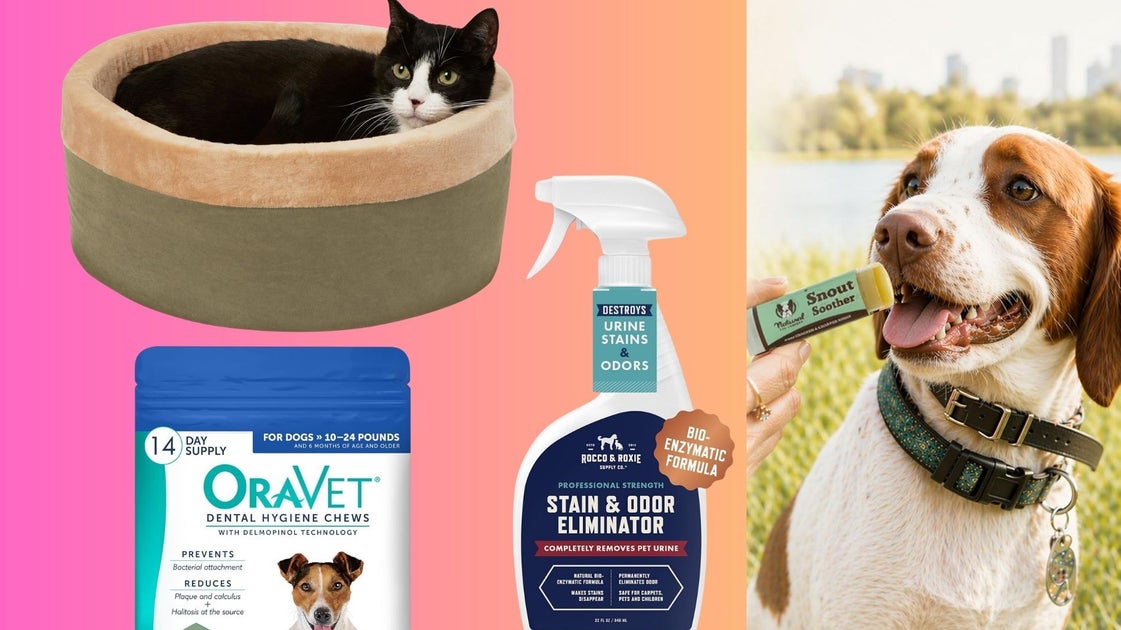 16 Supplies To Make Life With Senior Pets Easier — For Both Of You