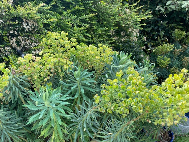 June is one of the busiest months for gardening.