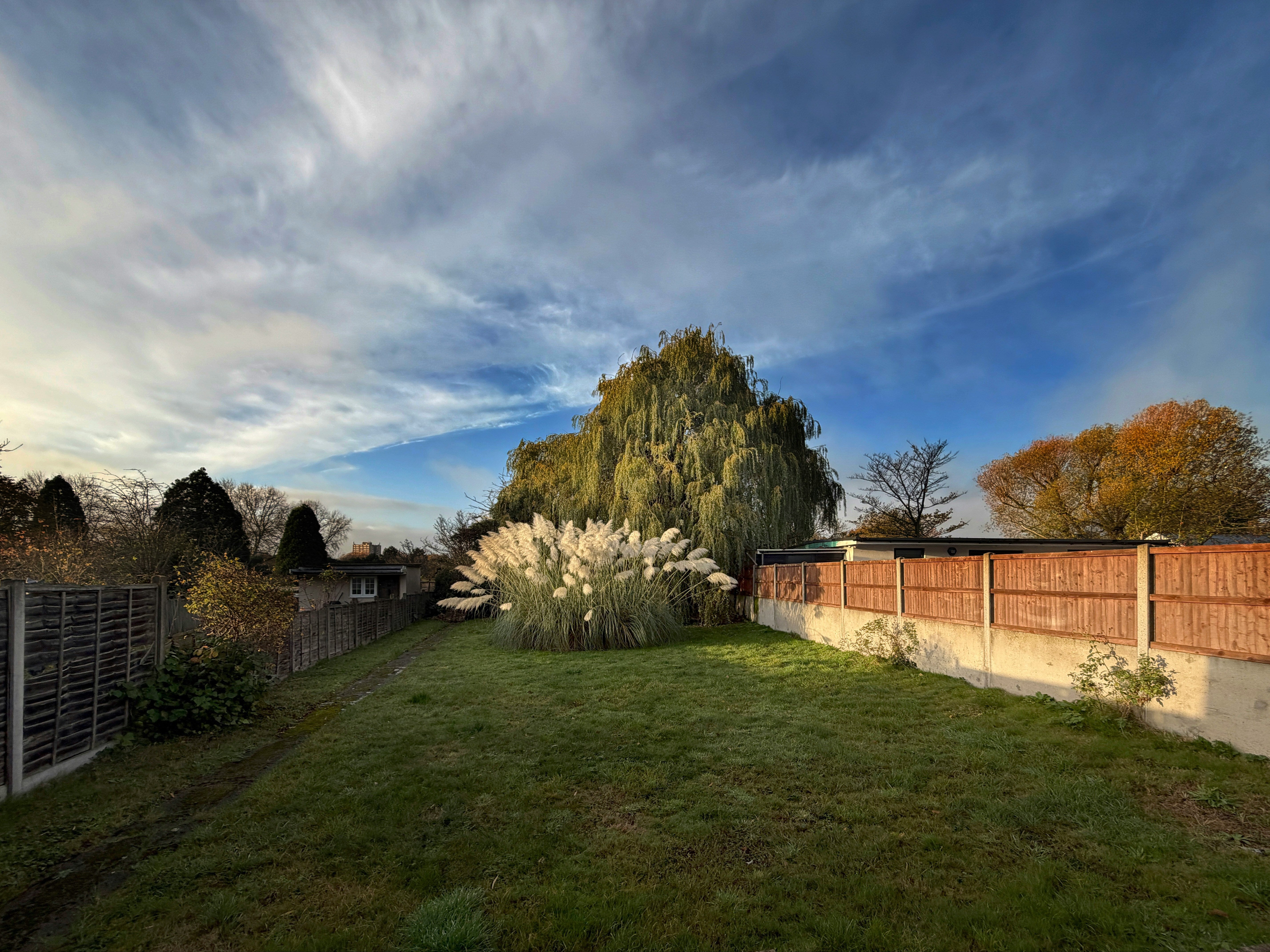 Gardening Experts Share Why You Should Check Leaves In Your Garden