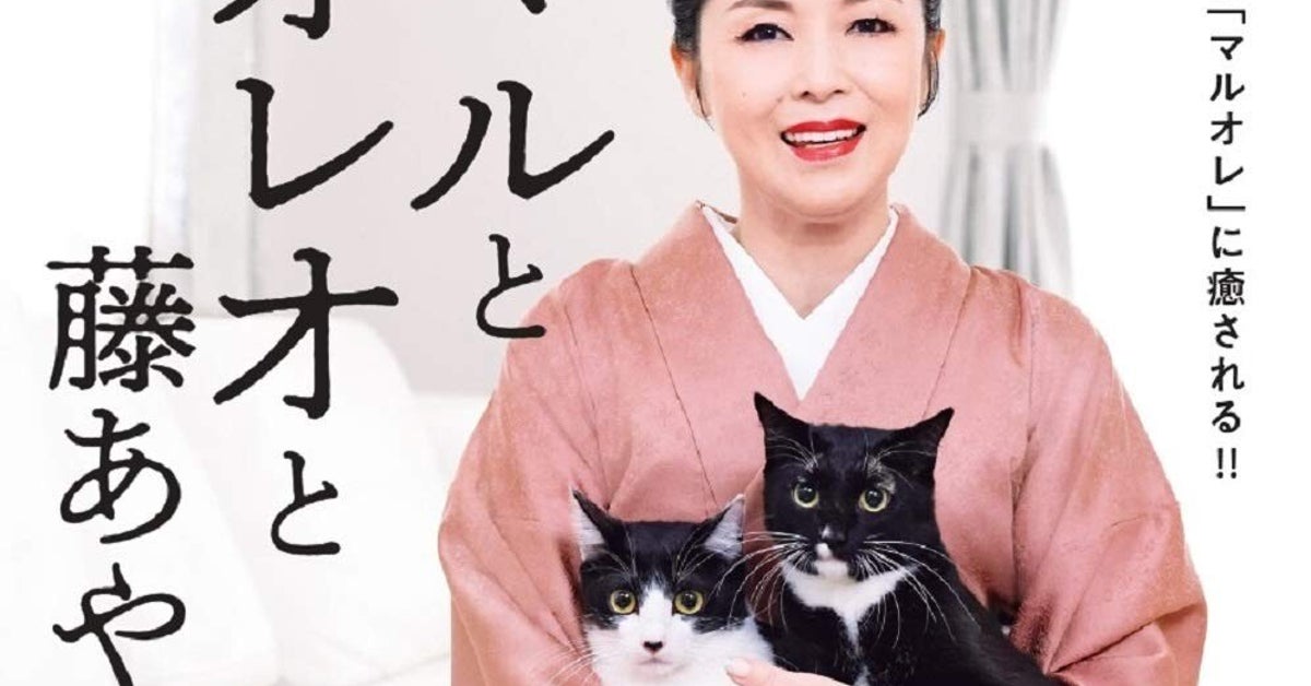 「料亭並みにキレイ」藤あや子、山菜を使った料理に絶賛の声「割烹から出てくるみたい」「ご馳走ですね」