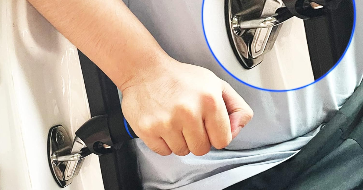 Everyone Needs This Affordable Mobility Assistance Device In Their Car ...