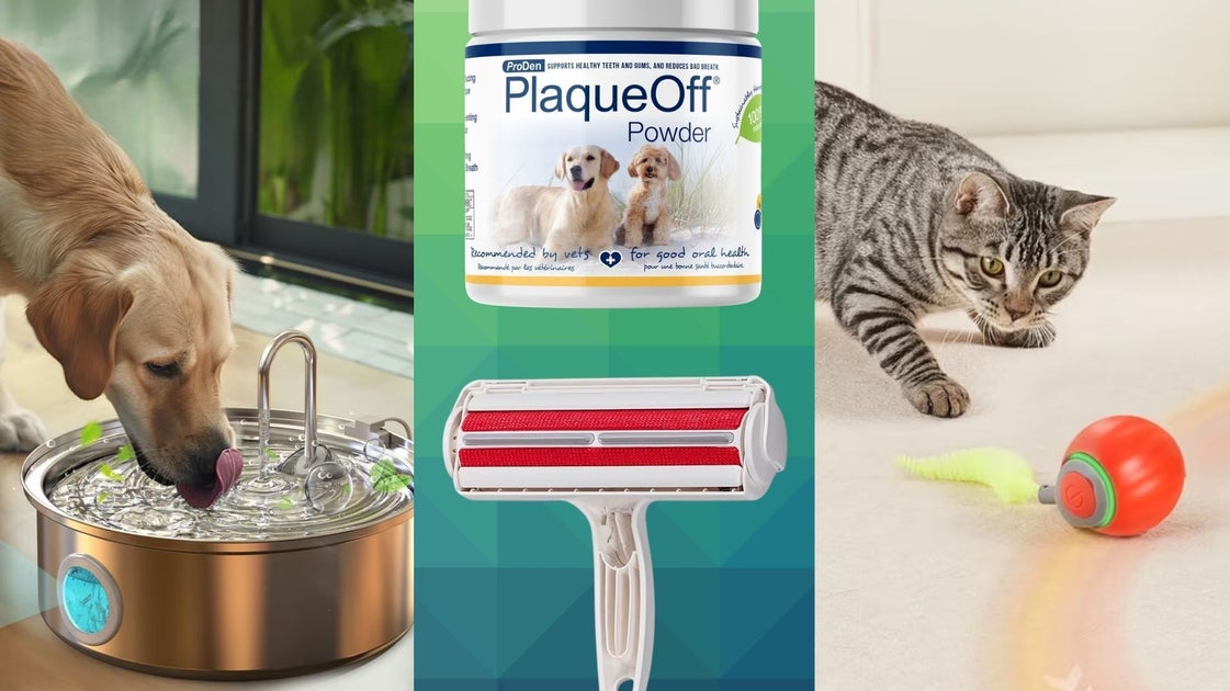 Tierhalter wechseln von Amazon zu Chewy – und dieser Memorial-Day-Sale ist ...