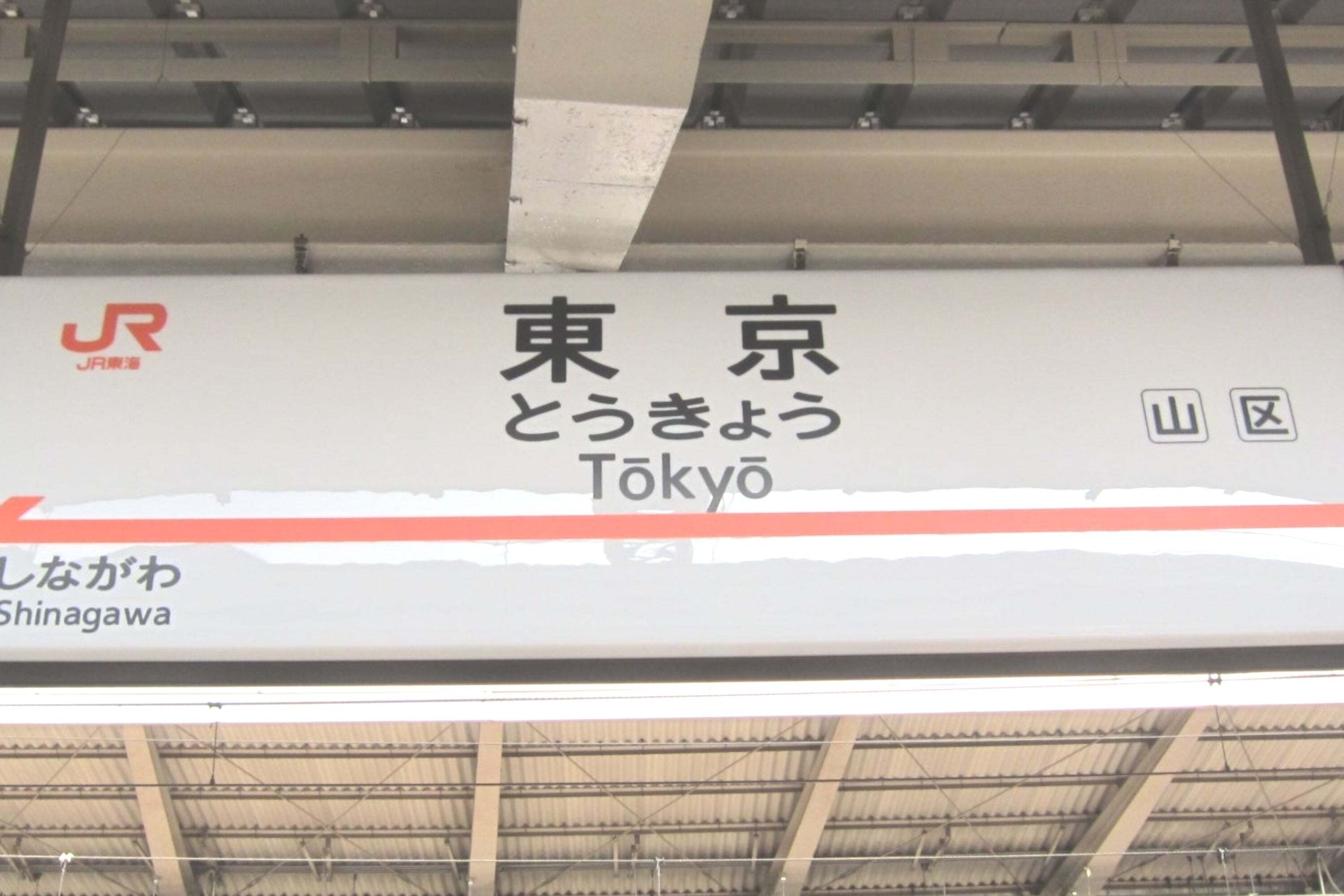東京駅で買った「オードリーのグレイシアミルク」が絶品でした！花束のような可愛い見た目で、ちょっとした手土産におすすめなんです！