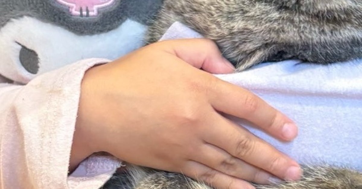 愛猫&ぬいぐるみを全力で抱きしめる子⇨愛情溢れるショットに「尊すぎる」「こころが溶けちゃった」の声