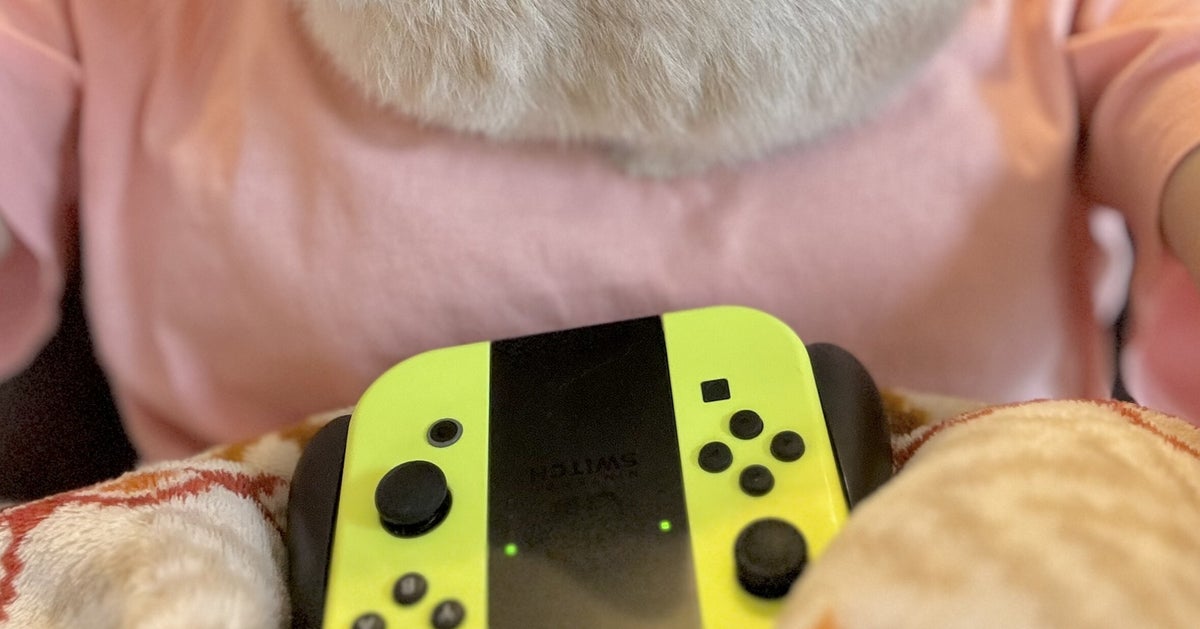 ゲーム中の飼い主に「かまってアピール」するウサギ⇨器用すぎる体勢に「愛おしさが溢れる」