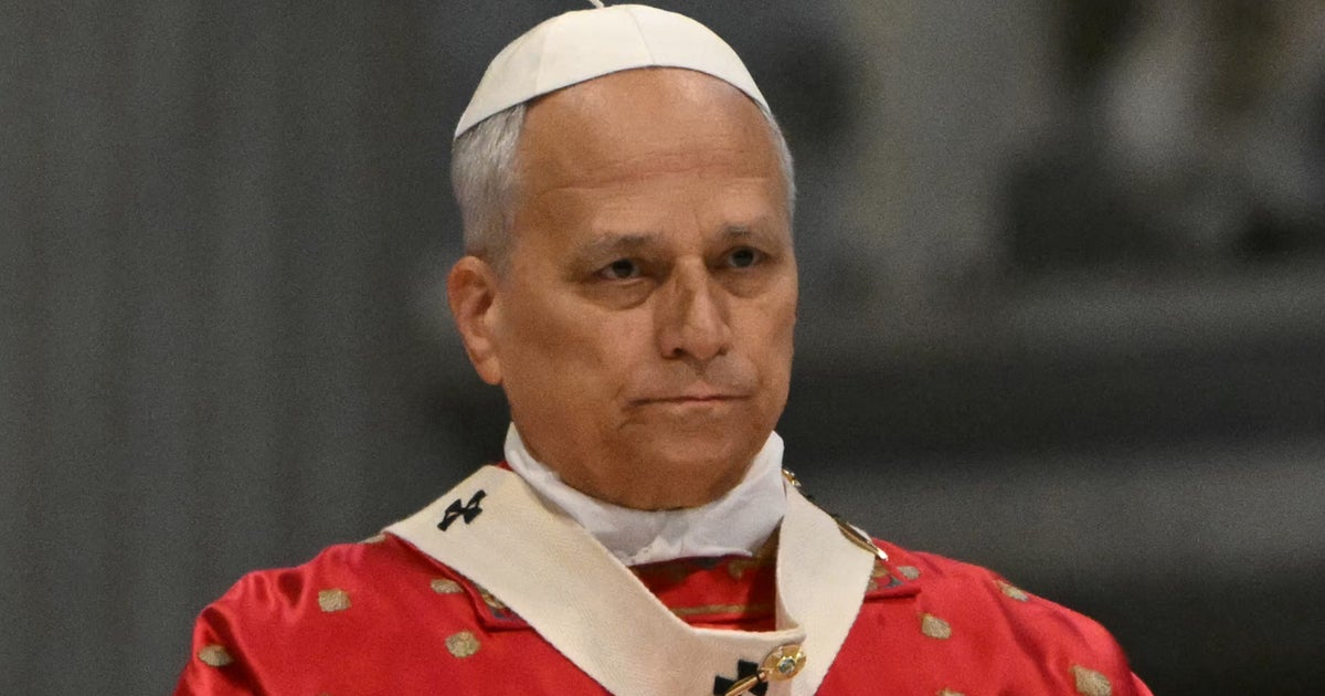 Pope Leo Issues Blunt Message For Profit-Driven Polluters