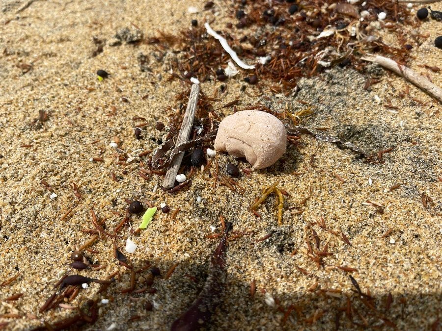 海岸で3度も拾った“ルパンの顔”、その正体は…⇒70年代の思い出に「これは懐かしい」と反響