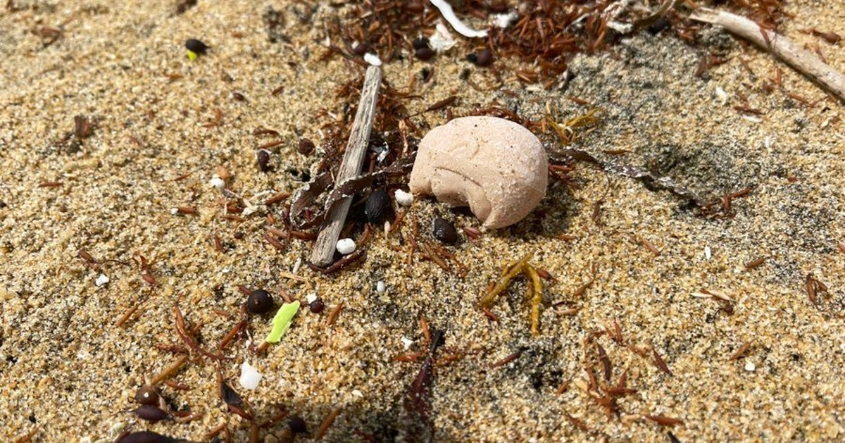 海岸で3度も拾った“ルパンの顔”、その正体は…⇒70年代の思い出に「これは懐かしい」と反響