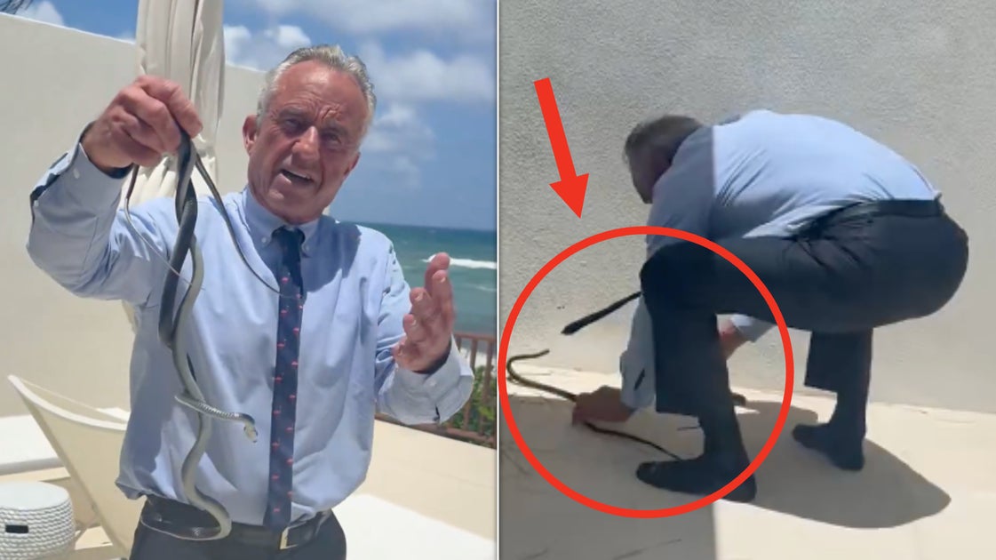 RFK Jr. Has Another Weird Interaction With An Animal — And It's Caught On Video