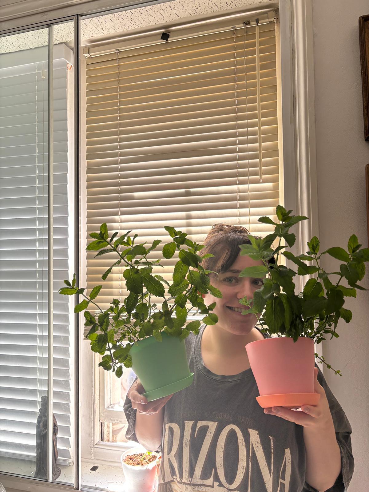I Grew Enough Mint To Last All Summer From A £2 Supermarket Plant