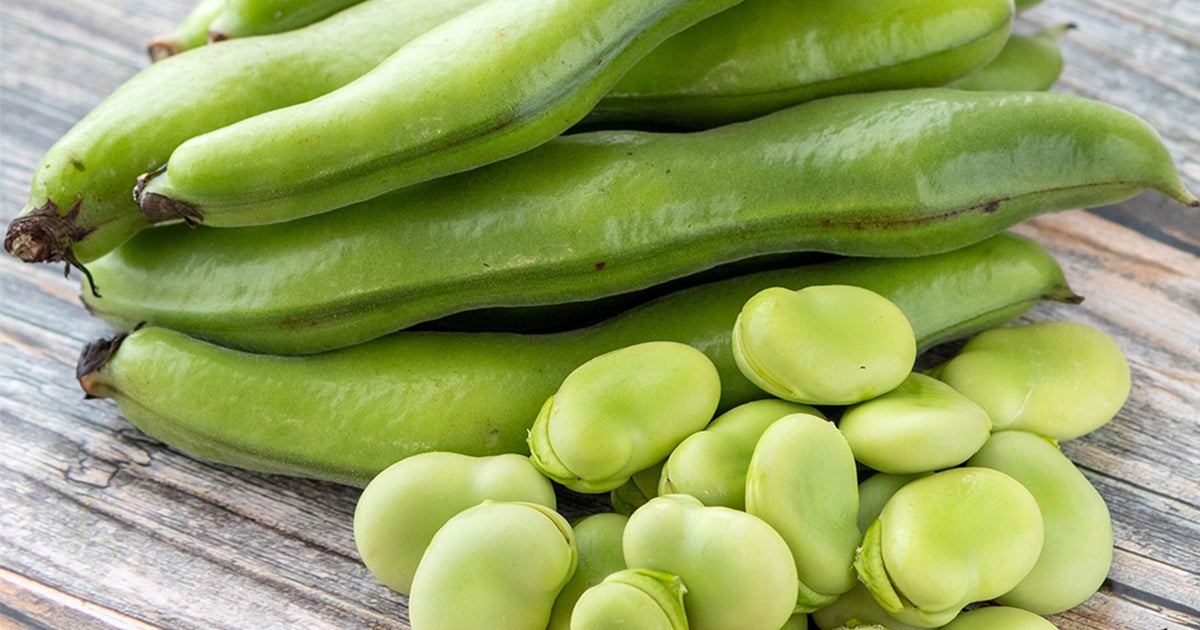 【そら豆の選び方】さやの色・うぶ毛・重さを見るだけで、スーパーで迷わなくなった