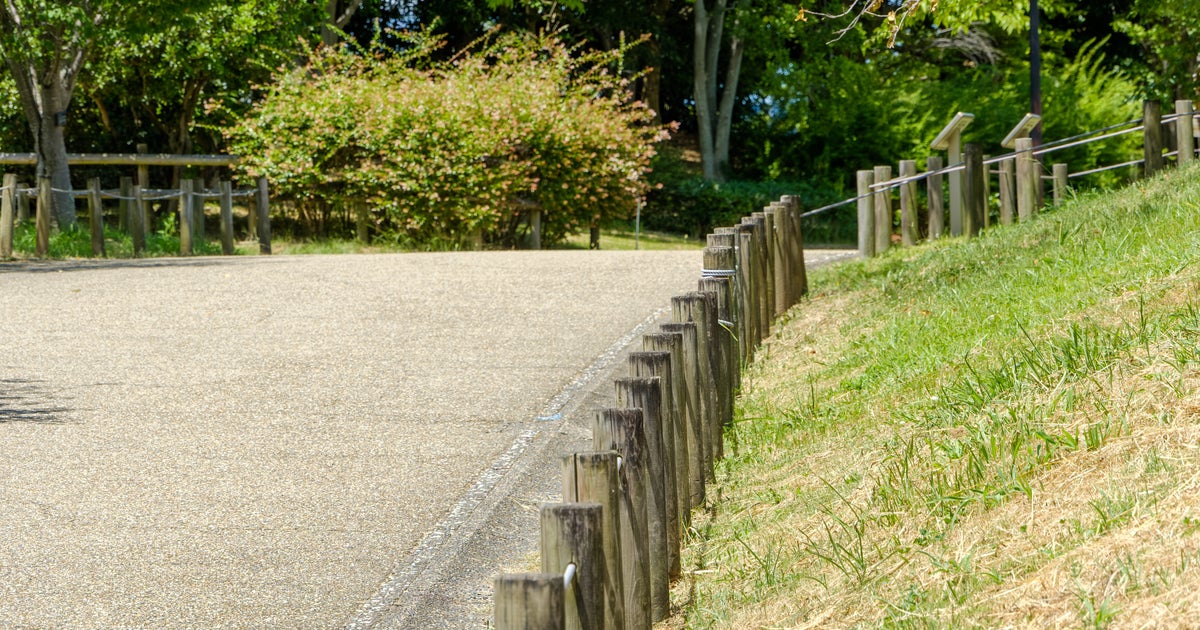 赤いクワガタに似た虫、絶対に触らないで。「植え込みにいた」「車に…」SNSで目撃写真相次ぐ