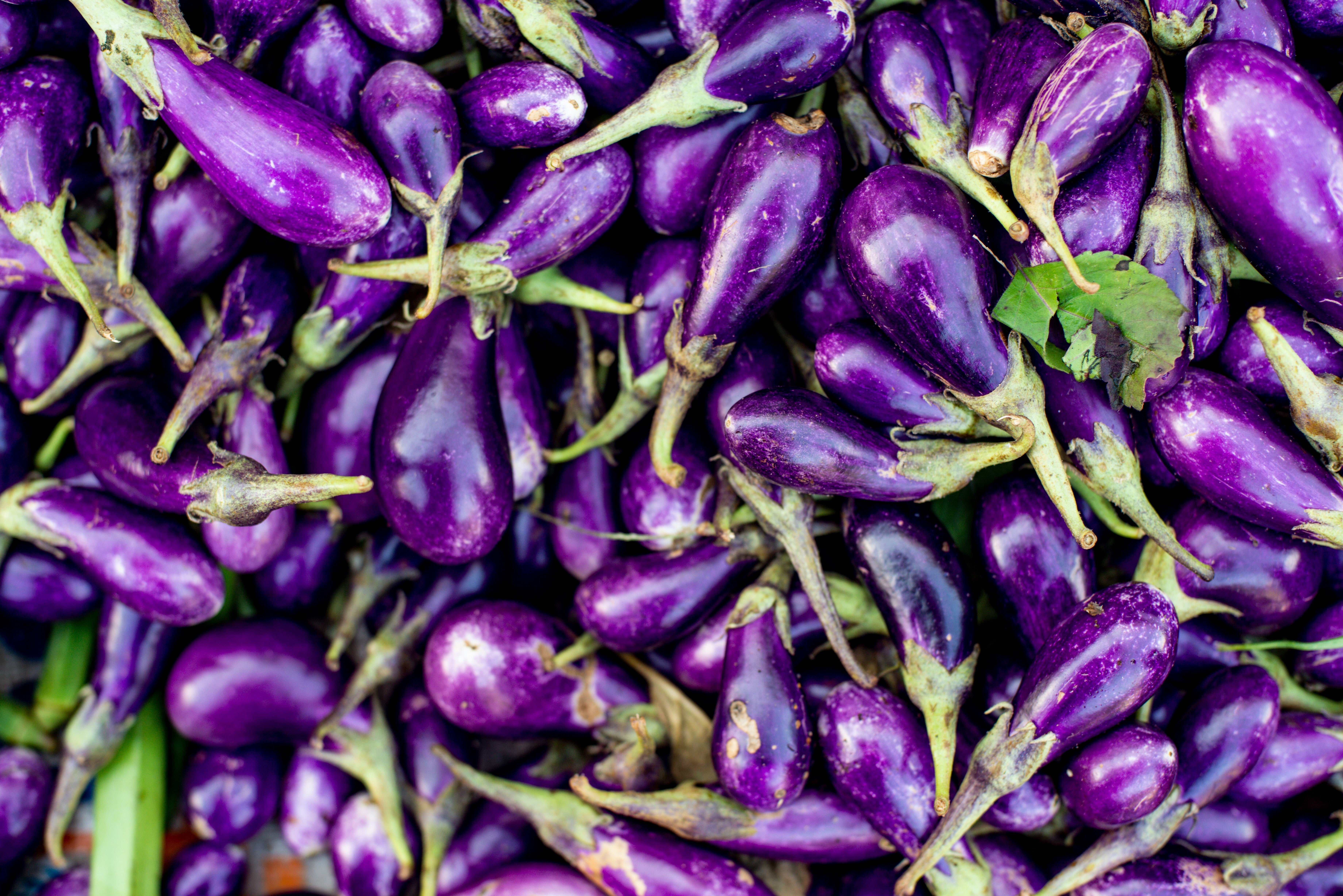 The Common Aubergine Advice Chefs Like Nigella Lawson Ignore