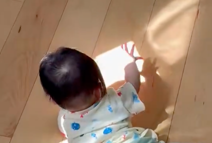0歳児が冒険の途中で見つけたものは...⇨可愛すぎる行動に「ずっと見ていられる」と反響