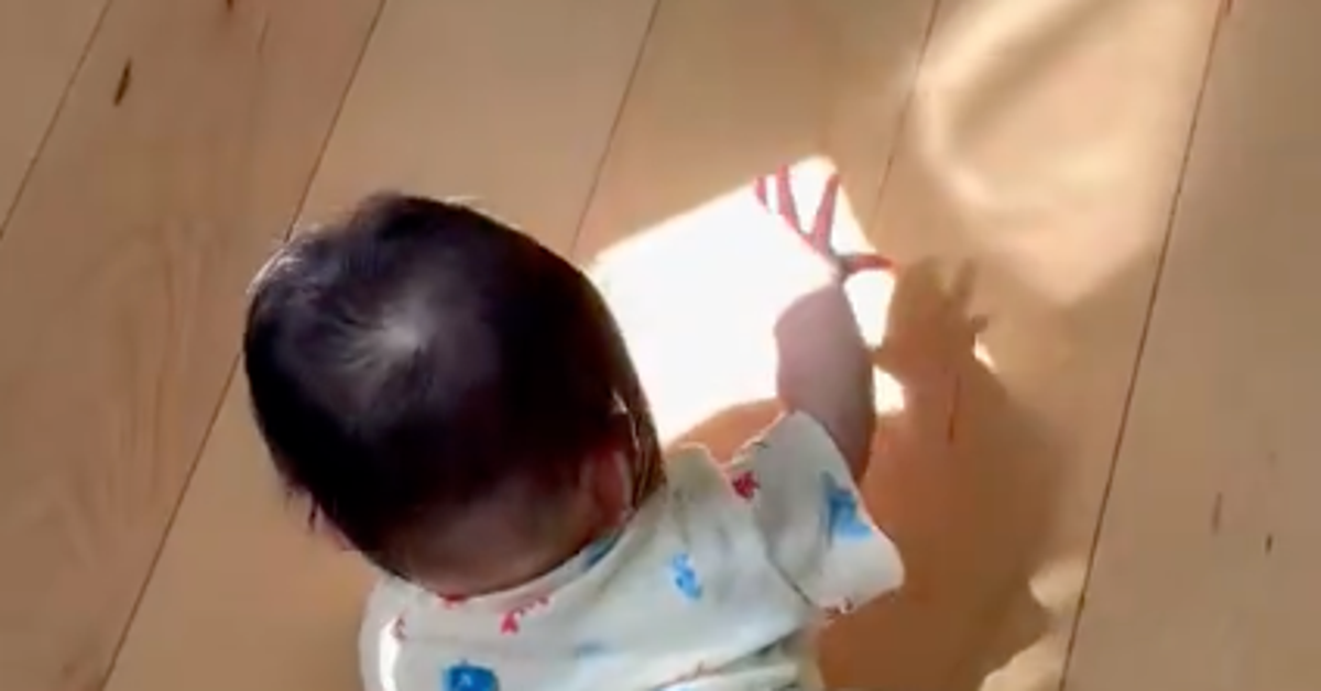 0歳児が冒険の途中で見つけたものは...⇨可愛すぎる行動に「ずっと見ていられる」と反響