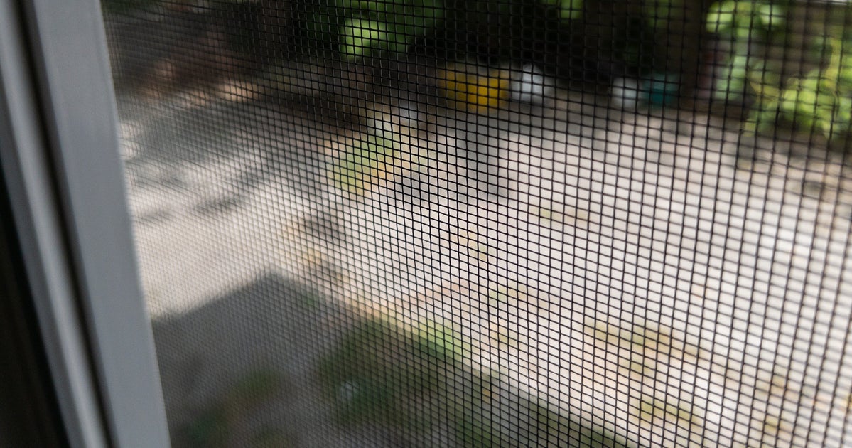 この茶色の虫、絶対に家に入れないで。「庭に大量発生」「畳で繁殖」SNSで悲鳴。7月から被害相談増える