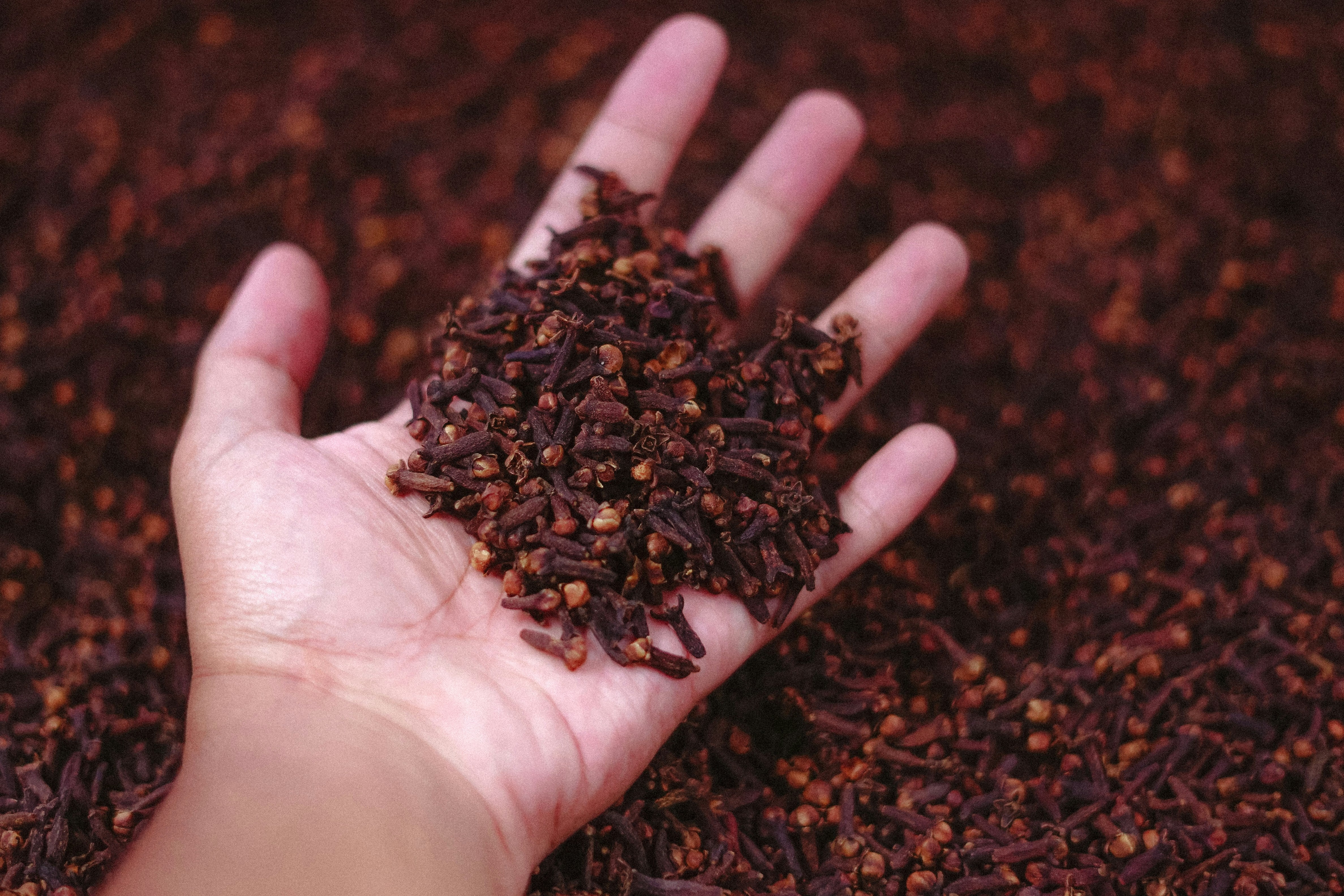 People Are Just Learning What Clove Is Made From