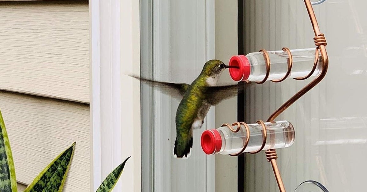 32 Little Things To Improve Your Outdoor Space And The Time You Spend There