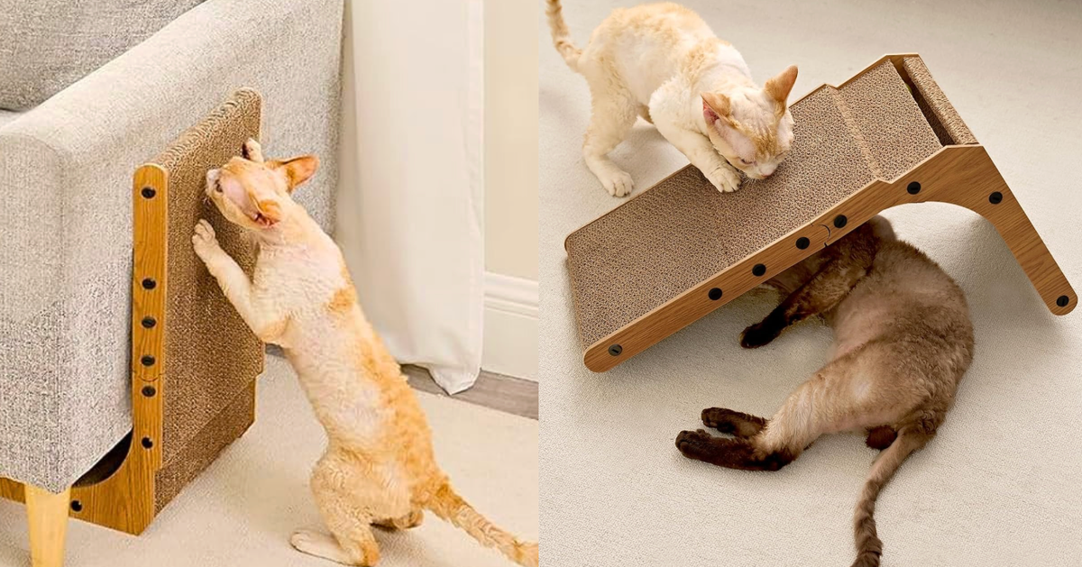 ‘Cats Go Crazy’ For This Scratcher — And It’s ‘Saving The Ends Of Beds And Couches’