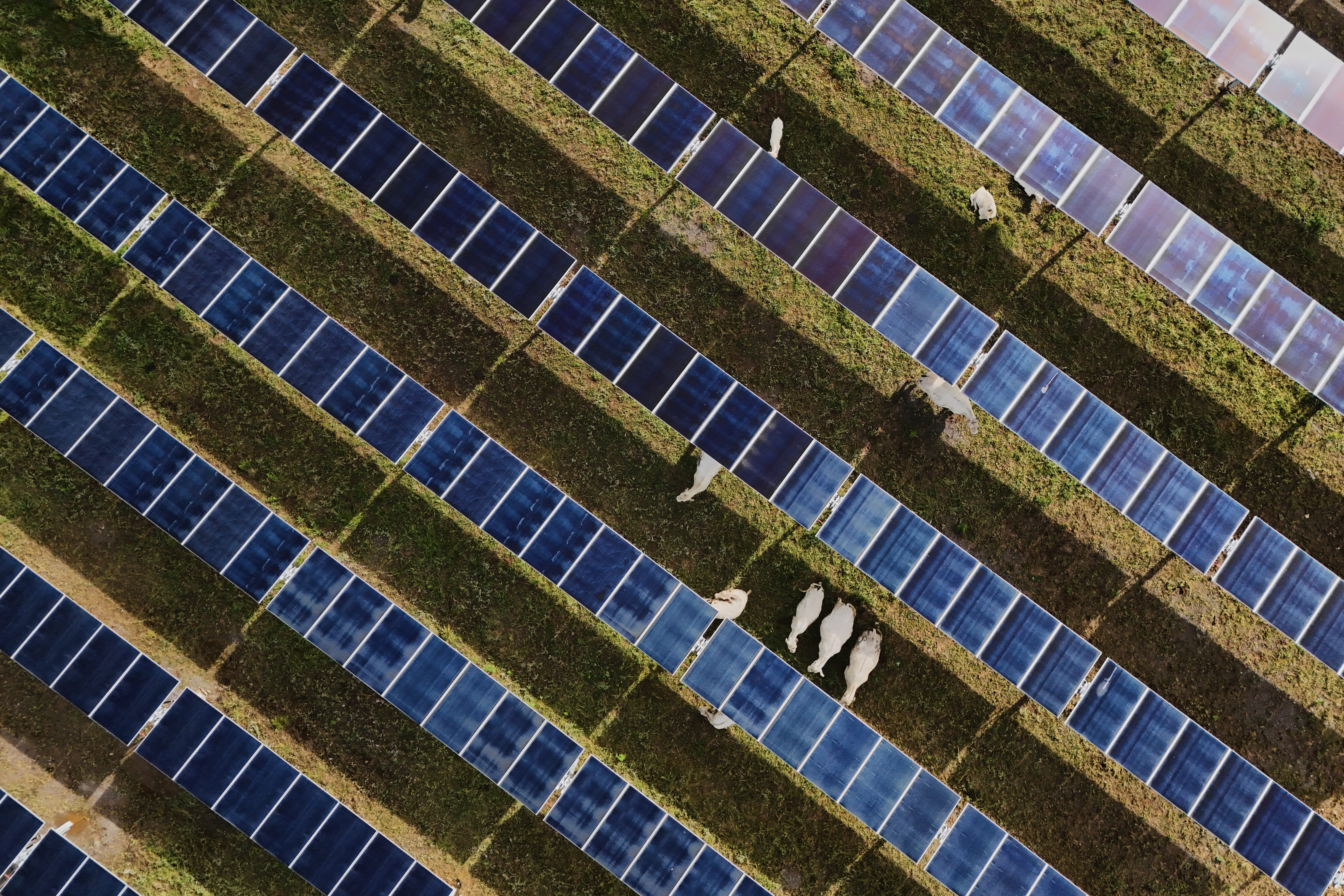 huffpost.com - AP - U.S. Solar Power Outpaces Coal Even As Trump Tries To Turn Back The Clock