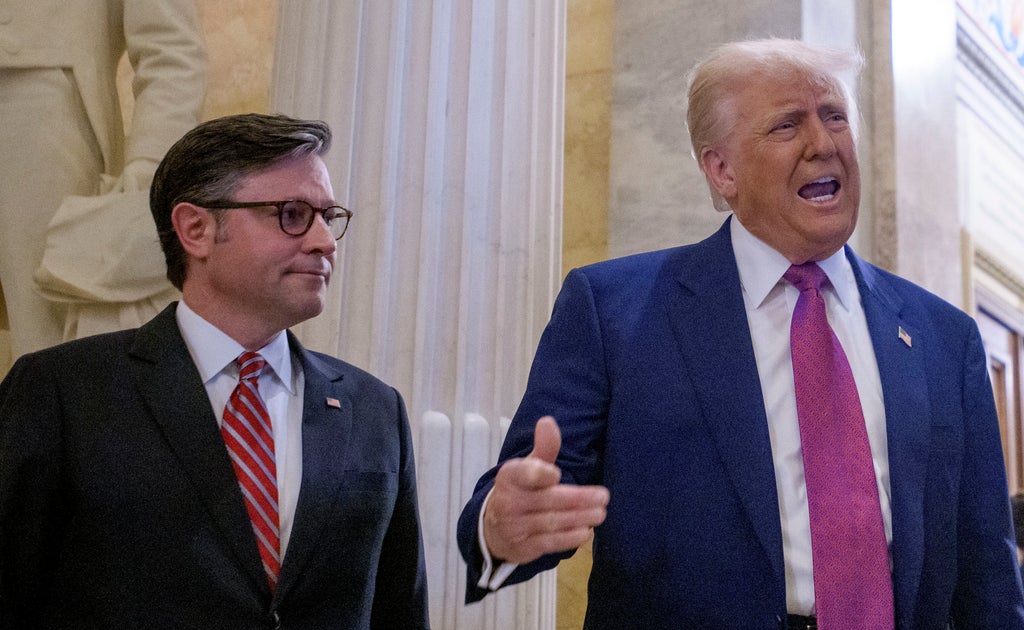 Mike Johnson Says Trump's 'I Love The Inflation' Comment Was Taken Out Of ...