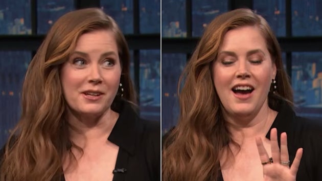 A sampling of Amy Adams’ facial expressions while describing the nixed sketch.