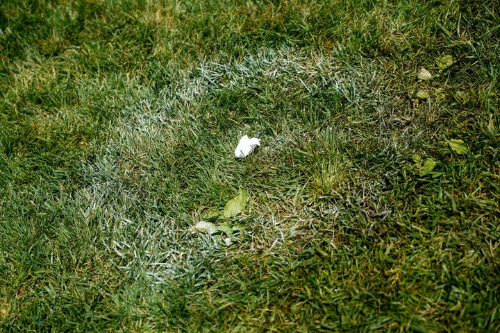 A close-up of a white substance inside a number, after authorities responded to what appeared to be a large tracing of the term 8647 into the grounds of the National Mall in Washington, D.C., U.S., June 11, 2026. (REUTERS/Nathan Howard)