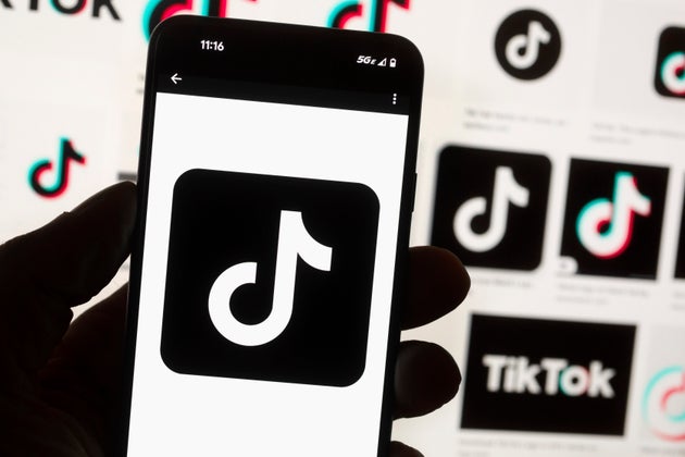 TikTok is one of the social media platforms under-16s will be banned from accessing.
