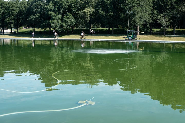 A pool cleaning machine operates amid algae in the Lincoln Memorial Reflecting Pool on Sunday.