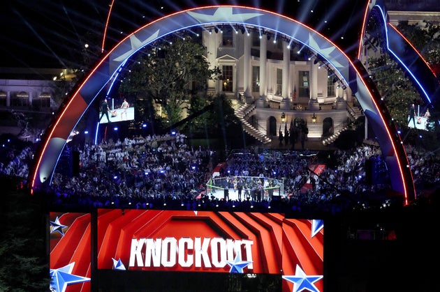 The UFC 