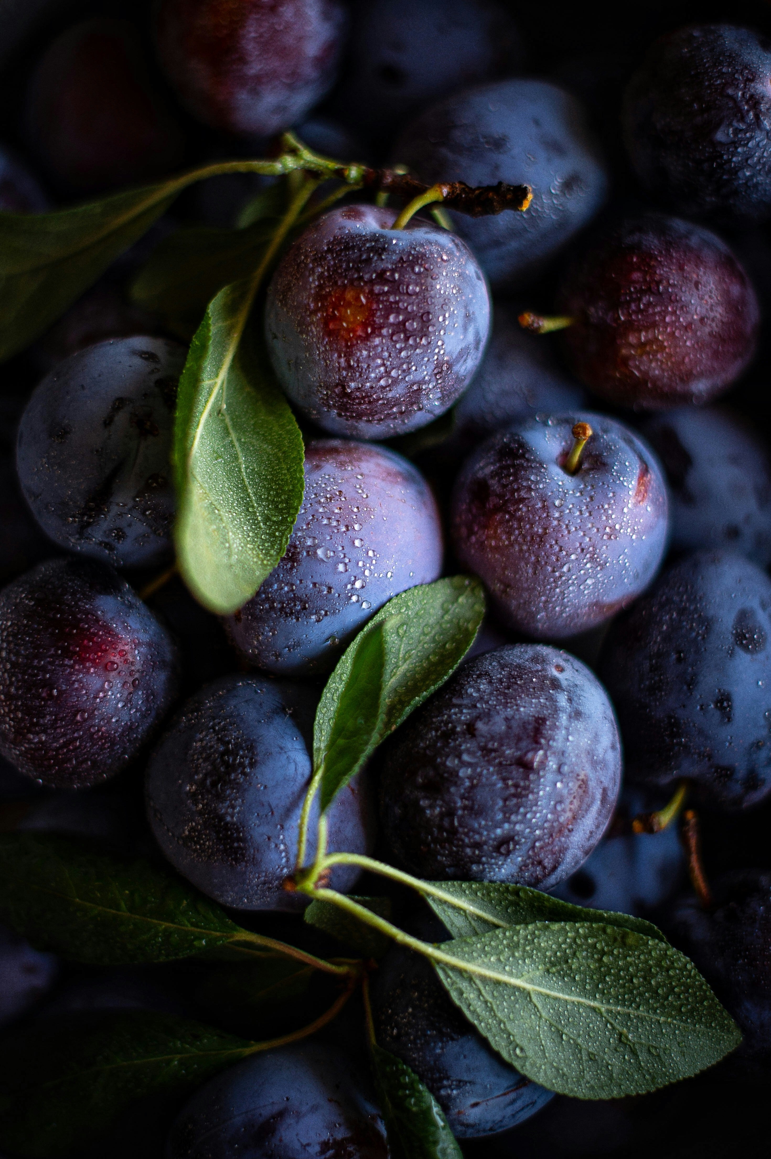 The Fruit That Can Provide Better Heart Health And Slower Brain Ageing