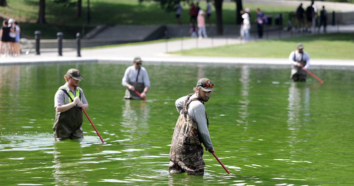 Trump's Reflecting Pool Fix May Have Accidentally Fueled The Very Problem It Was Meant To Solve