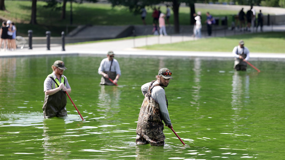 Trump's Reflecting Pool Fix May Have Accidentally Fueled The Very Problem It Was Meant To Solve